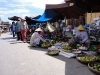 Markt Markt