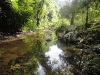 Wasser