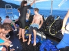 Night Dive Night Dive
