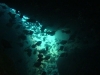 Fischtunnel