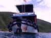 Rainbow Boat