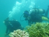 Riff Diving 2